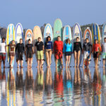 safari surf school group