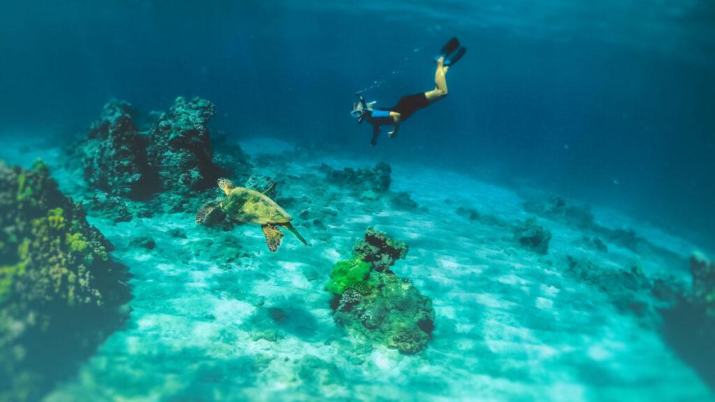 Snorkelling in Ecuador