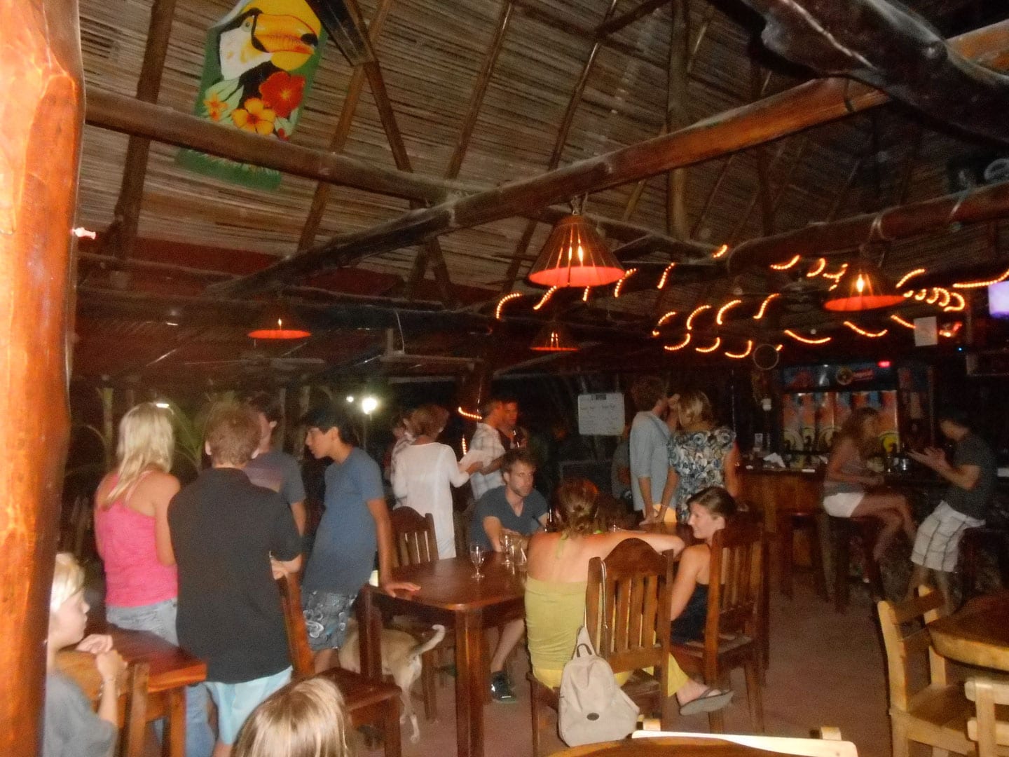 Casa Tucan...Safari Surf Schools bar and restaurant