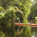 Activities galore outside of surf lessons at Safari Surf