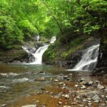 Waterfalls of Nosara