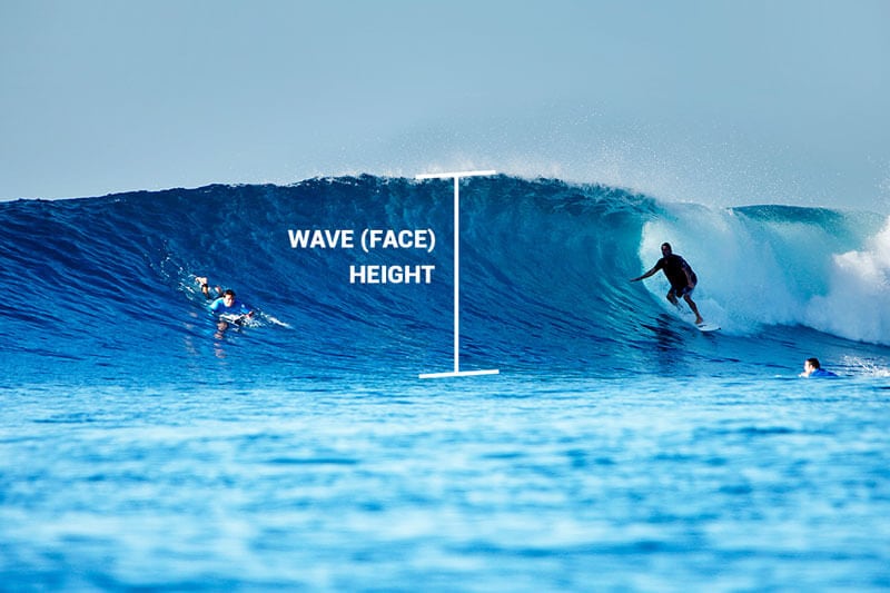 surf height 